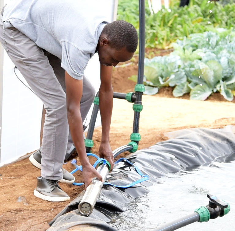 We grow fresh, organic produce using clean methods that protect nature, healthy food.