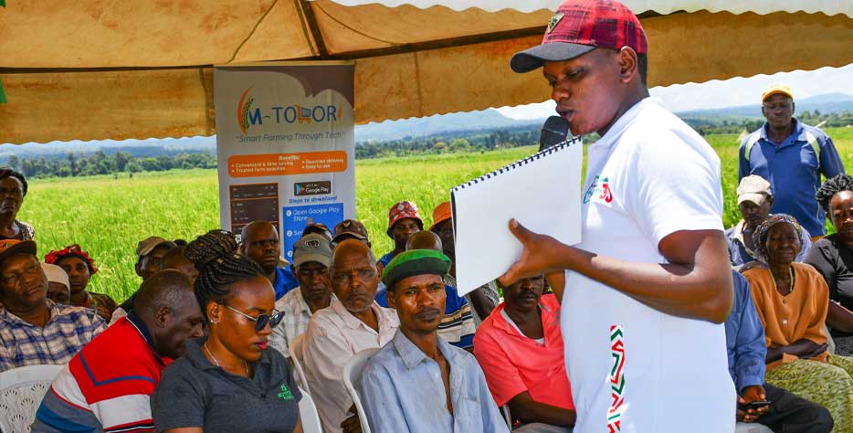 Our agronomy services are designed to support farmers at every stage of crop production by providing expert guidance, accurate diagnosis, and practical solutions