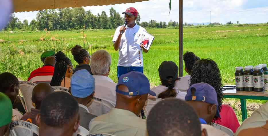 Our agronomy services are designed to support farmers at every stage of crop production by providing expert guidance, accurate diagnosis, and practical solutions