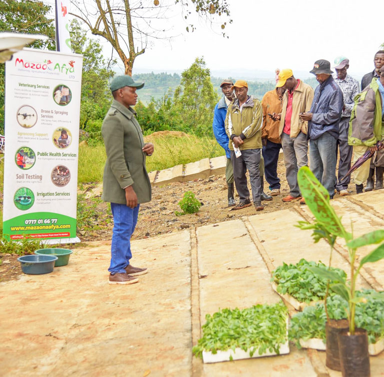Our agronomy services are designed to support farmers at every stage of crop production by providing expert guidance, accurate diagnosis, and practical solutions